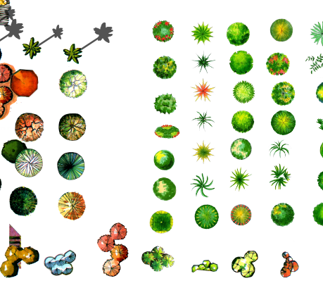 各类PS制图植物素材汇总psd格式(2)