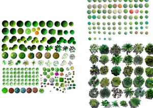 各类植物树种汇集素材psd格式图