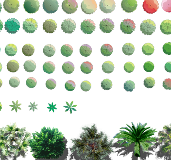 各类植物树种汇集素材psd格式图(4)