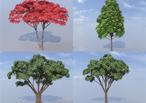 SU(草图大师)代理树、红枫、桂花树