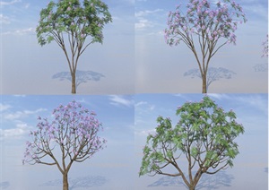SU(草图大师)代理树、蓝花楹模型代理