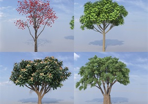 SU(草图大师)代理植物、柿子树、小叶榕树