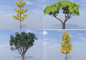 SU(草图大师)植物代理、银杏树、杨梅树