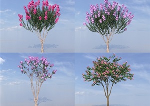 SU(草图大师)代理植物、紫薇树代理模型