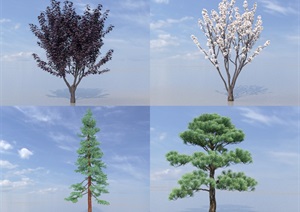 SU(草图大师)植物代理、杉树、松树、紫叶李