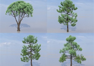 SU(草图大师)代理植物、松树代理模型
