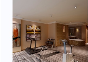 住宅详细的室内健身房空间设计3d模型及效果图