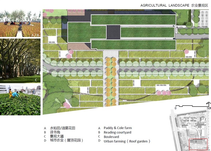 杜克大学中国昆山校区景观概念设计(3)