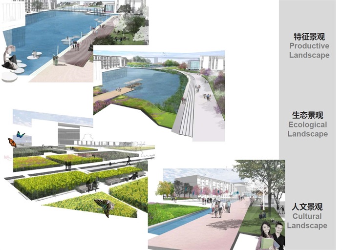 杜克大学中国昆山校区景观概念设计(7)