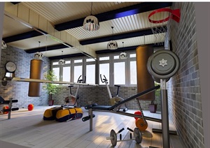 某详细的完整现代住宅室内健身房空间3d模型及效果图