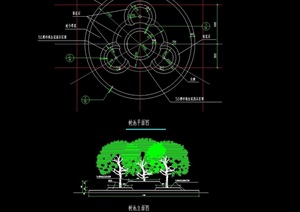园林景观详细的节点树池设计cad施工图