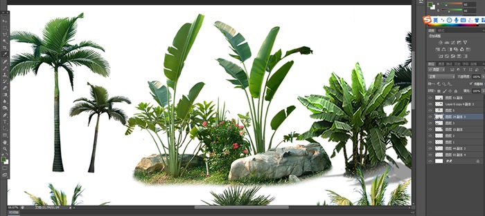 棕榈类植物后期园林制作素材psd(2)