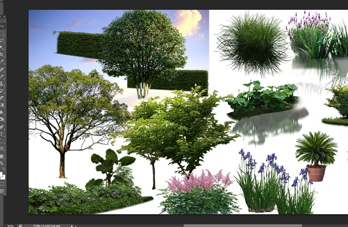 植物花卉园林景观后期制作素材psd(3)