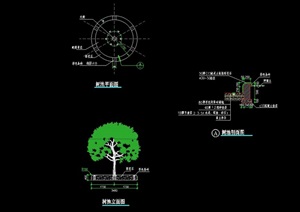 园林景观种植树池设计cad施工图
