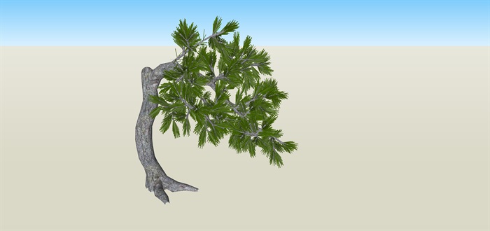 造型树歪脖子造型su素材模型(1)