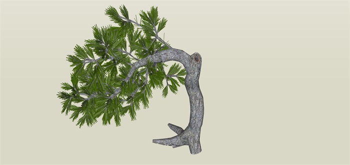 造型树歪脖子造型su素材模型(3)