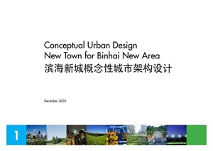 SOM：天津滨海新城概念性城市架构设计内容丰富详细材质清晰，具有很高的学习价值，值得下载