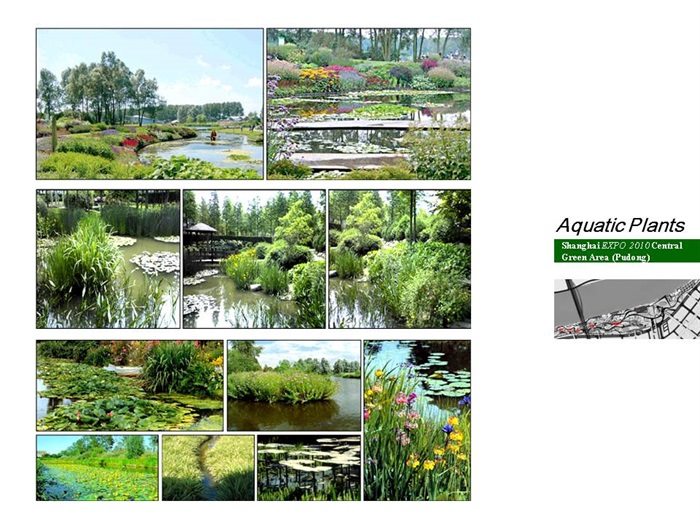 2010上海世博中心绿地规划设计-荷兰NITA(10)