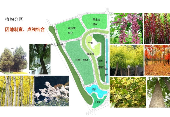 盘锦红海滩温泉小镇总体策划与概念性规划(12)