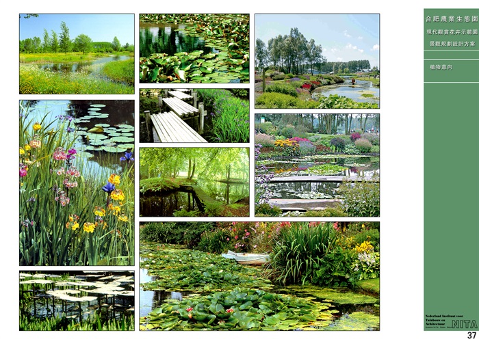 【NITA】合肥市农业生态园现代观赏花卉示范园景观方案(9)