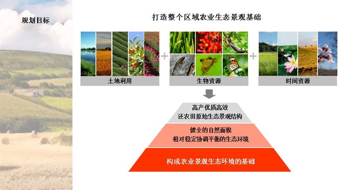 南京汤泉农场概念规划设计(6)