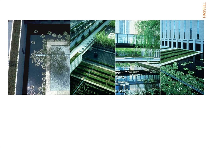 004东部国际商务中心景观设计(7)