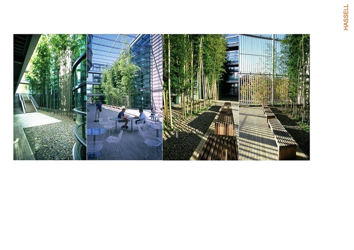 004东部国际商务中心景观设计(11)