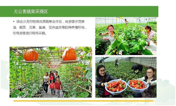 2016.08 沙龙村休闲农业田园综合体规划项目（79页）(14)