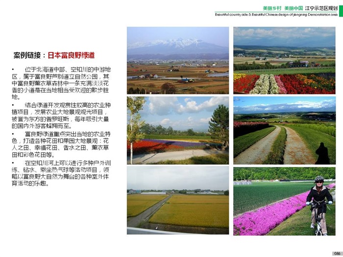 2016.04 江宁美丽乡村示范区规划项目（88页）(15)