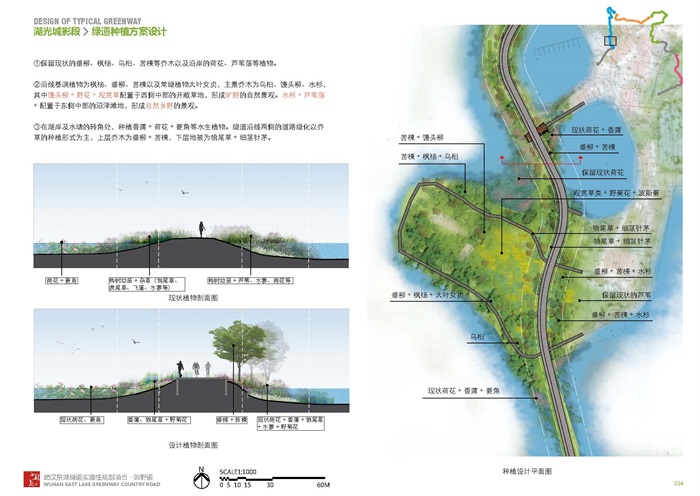 美丽乡村绿道 道路景观设计方案 北林作品(3)