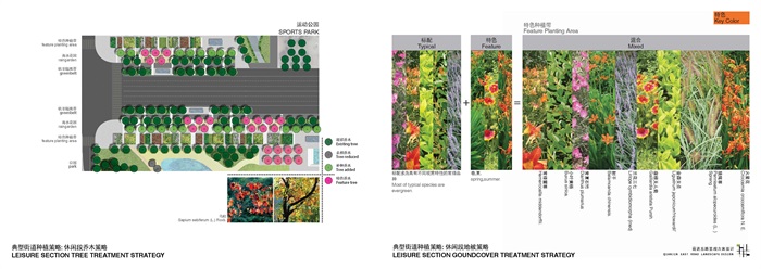 生态城市景观大道-海绵城市活力街道景观设计方案文本(12)