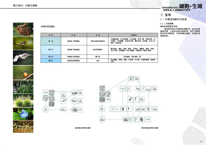 土人：宝湖公园规划方案设计（105页） 2011(6)