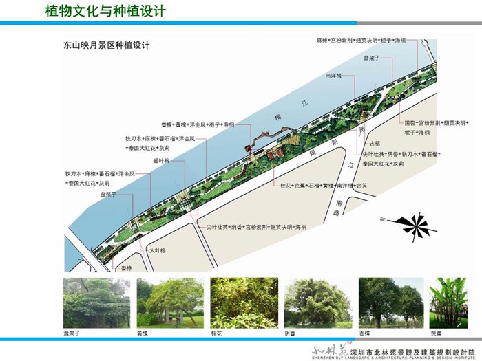 梅州南堤滨江公园方案优化成果(2)