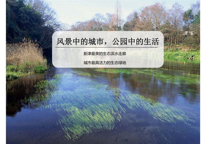 最美滨水走廊-活力生态绿地-某市杨柳湖水环境综合治理项目概念性规划设计方案(1)