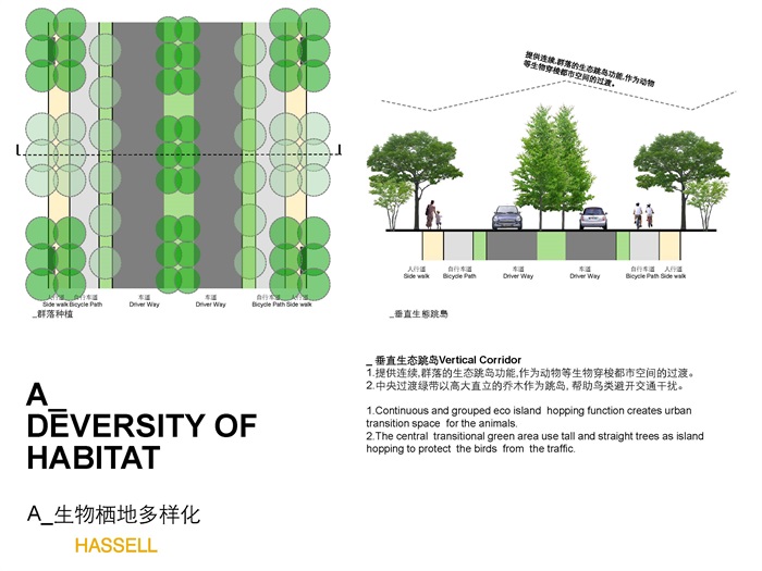[HASSELL][道路][滨水]新加坡-南京生态科技岛首期市政景观设计(4)