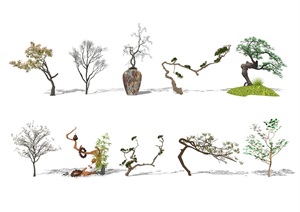 新中式景观树 植物SU(草图大师)模型