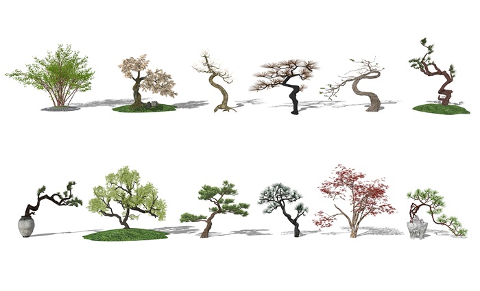 景观树 树 植物su模型(2)