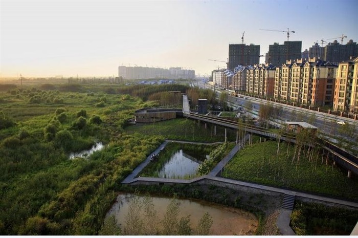 哈尔滨群力新区生态湿地公园景观设计方案整套资料【CAD扩初与施工图+JPG方案+完工实景】(14)
