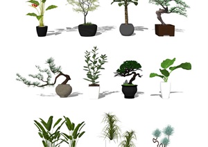 现代盆栽植物 景观小品SU(草图大师)模型