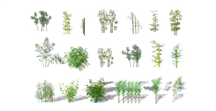 景观植物竹子绿植su模型(1)