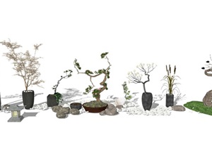 新中式盆栽盆景枯树石头组合SU(草图大师)模型