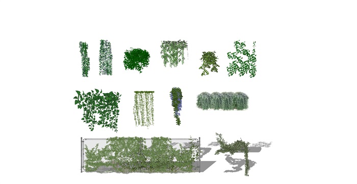 现代蔓藤 植物 绿植su模型(2)
