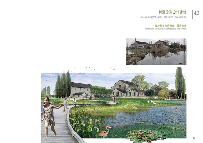 上海某湿地总体规划(6)