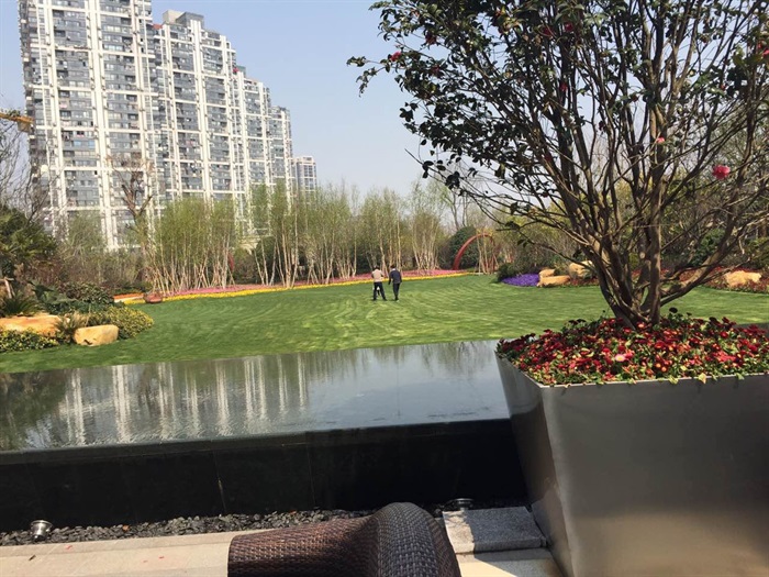 07上海方兴西区金茂府植物CAD施工图、实景图(12)