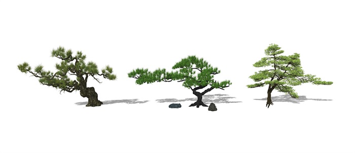 新中式景观树景观小品树su模型(1)