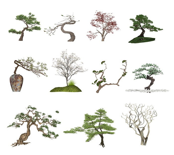 新中式景观树 景观小品 树 植物su模型(1)