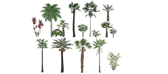 3D灌木植物组团(2)