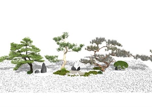 新中式景观树 枯山石 植物SU(草图大师)模型