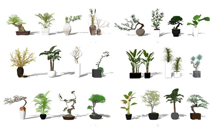 现代盆栽植物 景观小品su模型(3)