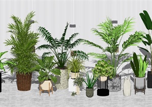 现代绿植盆栽 植物SU(草图大师)模型